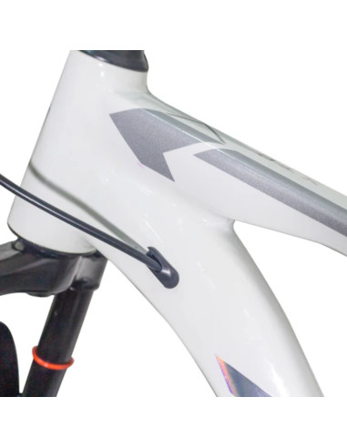 Bicicleta Roca Nevada Rin 29 Ltwoo 1x10 | Artmobile