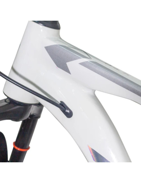 Bicicleta Roca Nevada Rin 29 Ltwoo 1x10 | Artmobile