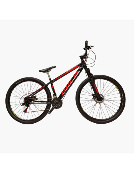 Bicicleta Roca Andes Rin 29 Shimano | Artmobile