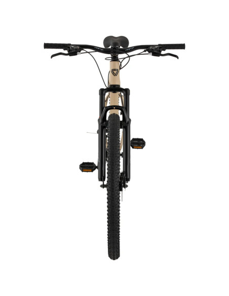 Bicicleta GW Falcon Rin 29 Talla M 24 Vel | Artmobile